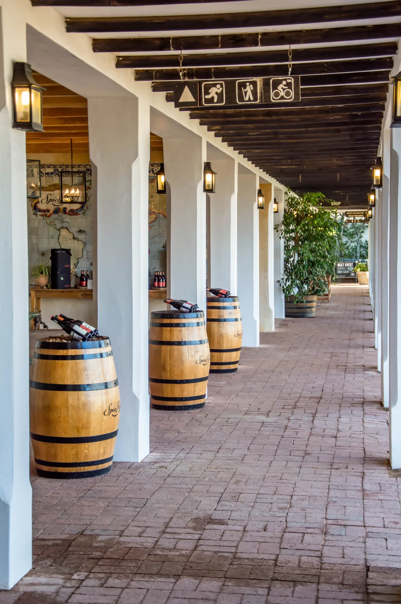 Constantia Winelands Wine Tours
