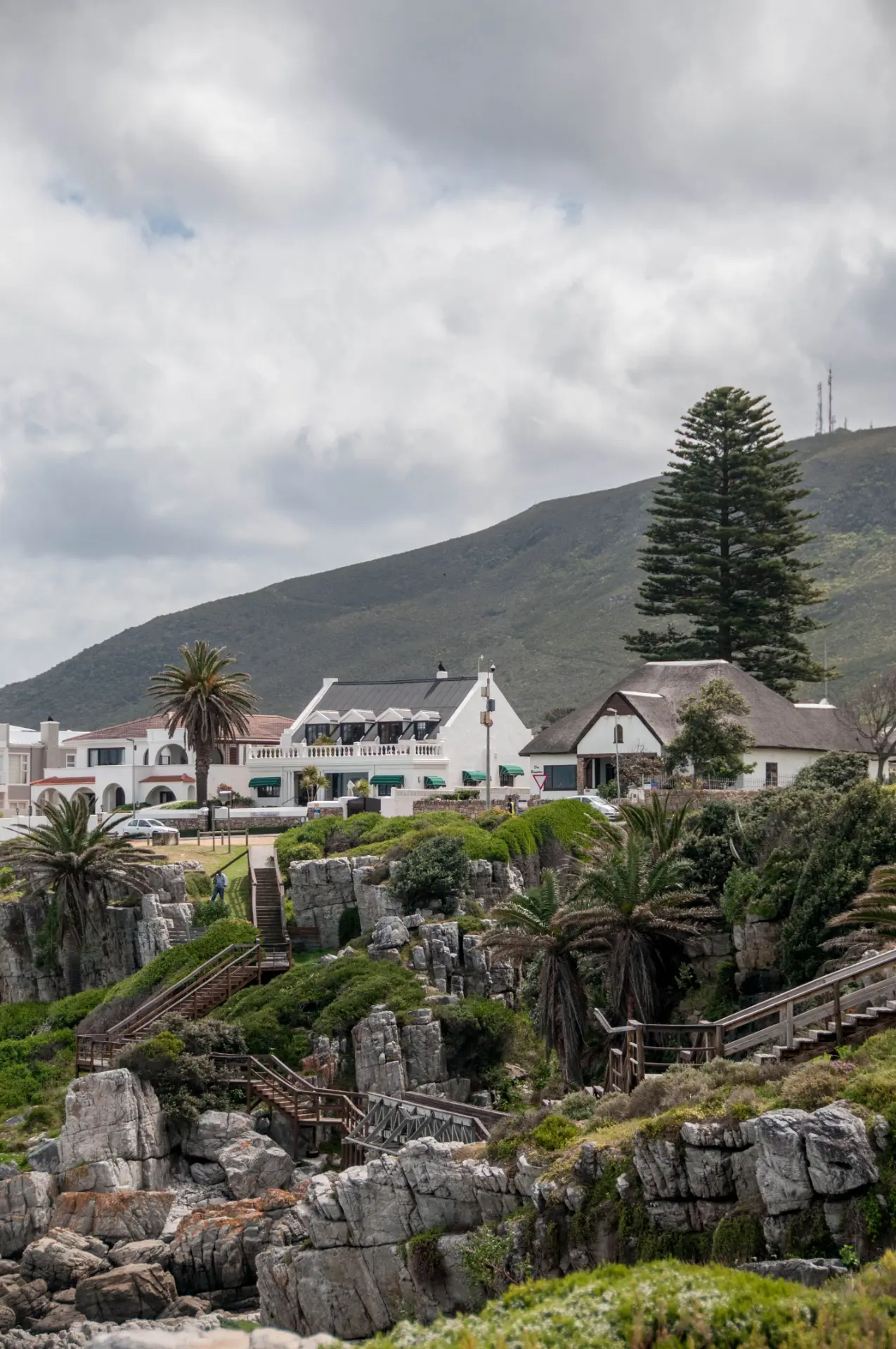 hermanus cliff path for whale watching the bliss collection