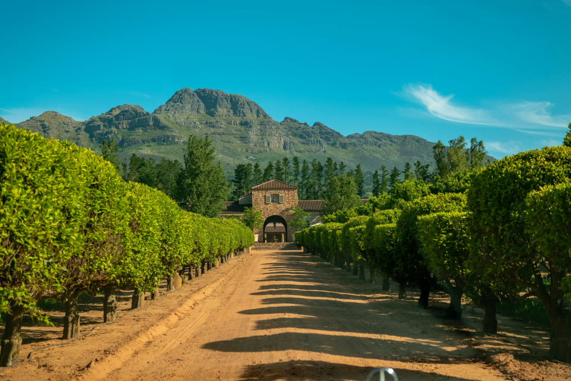 Cape Town Wine Estates